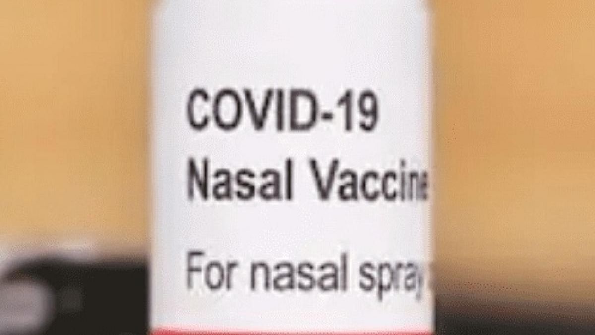 First Indian intranasal Covid vaccine to be launched on January 26