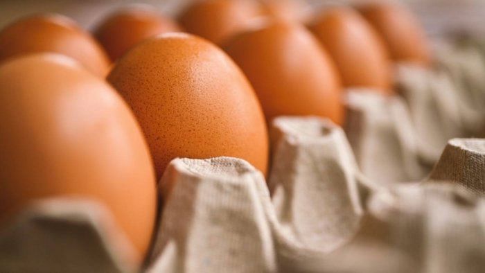 No relief in January as egg prices still high in Bengaluru