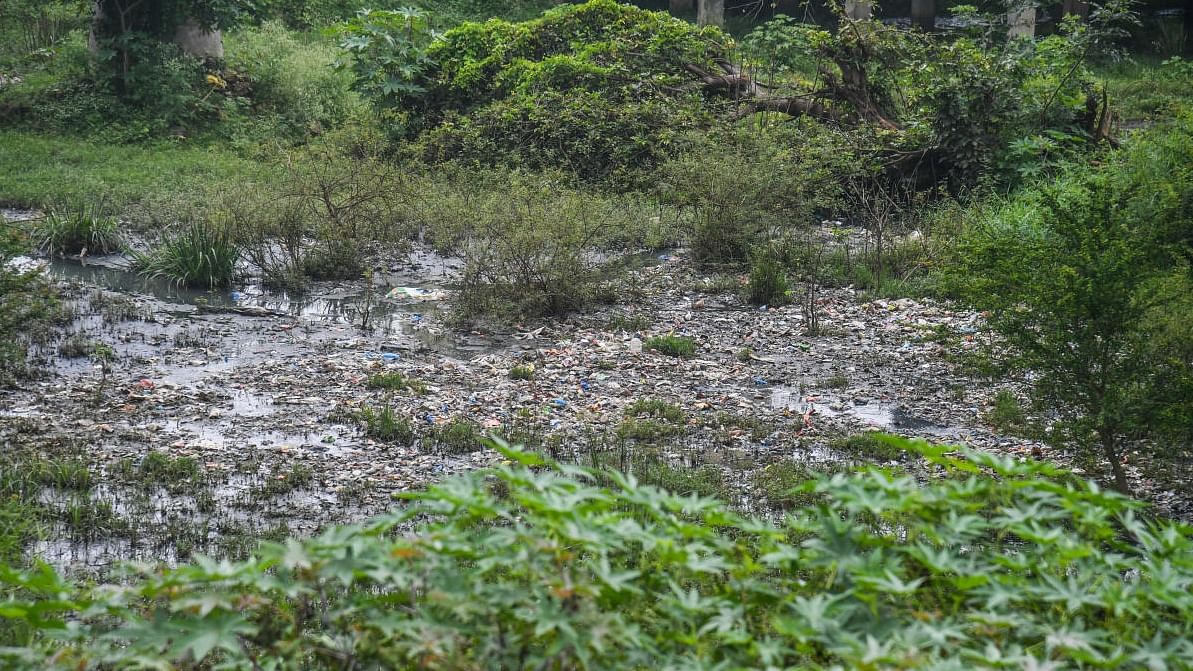 17 rivers in Karnataka choked with sewage, waste