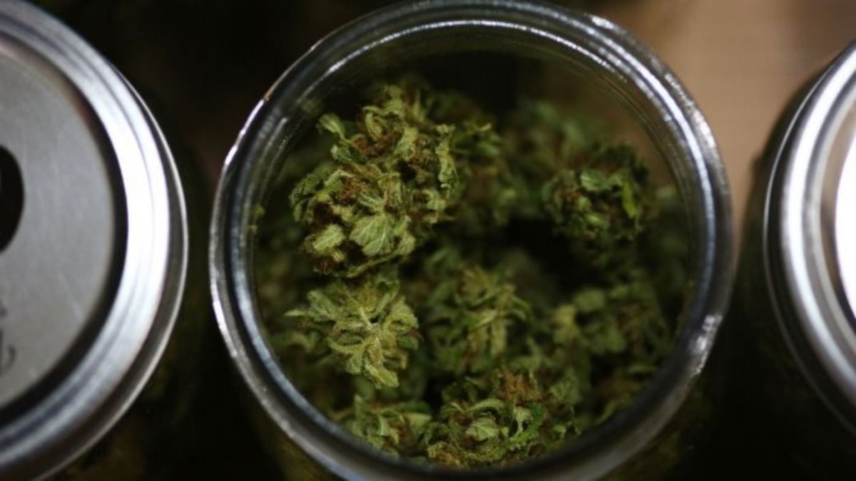 Cannabis most commonly used among teens in Kerala, says report by Excise
