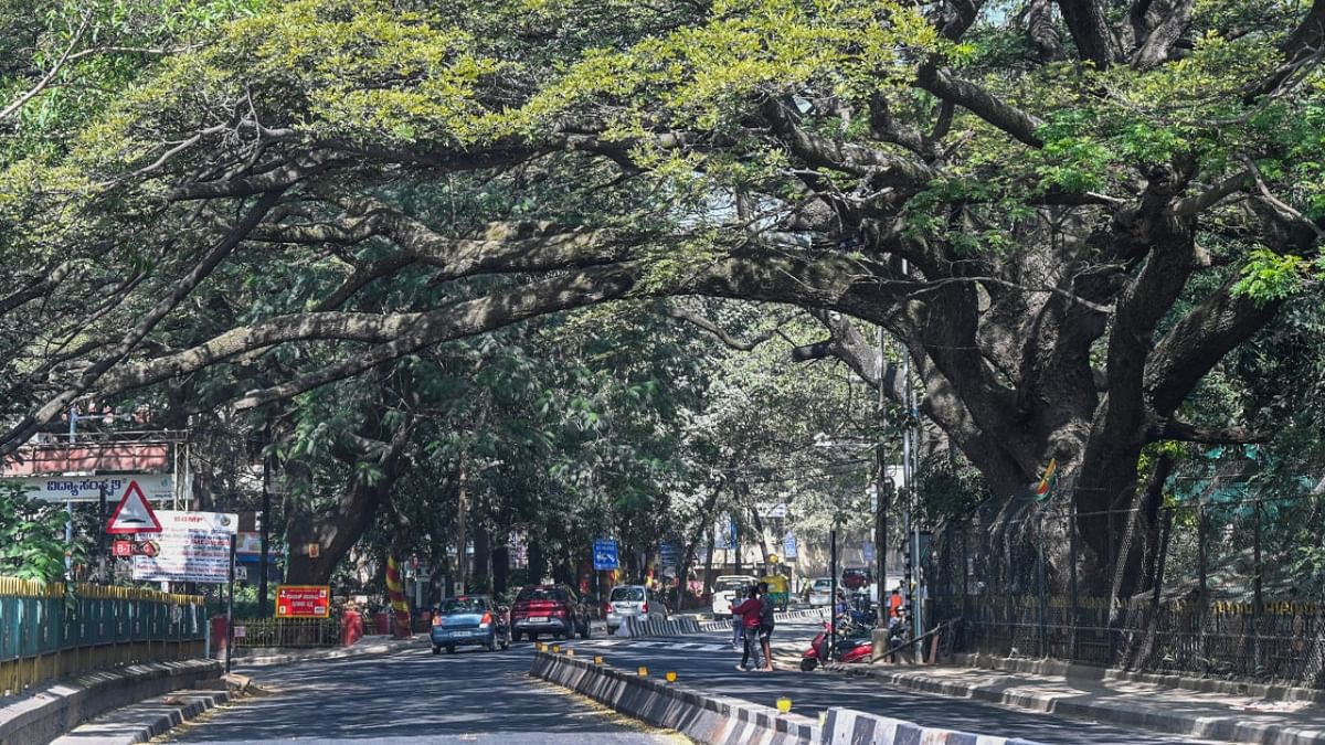 Bengaluru to get a breather with Rs 140-crore projects for cleaner air