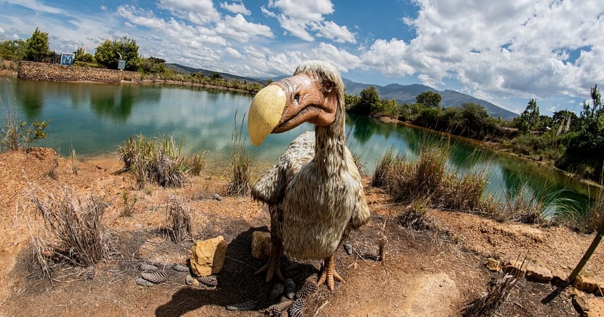 A 'de-extinction' company wants to bring back the dodo