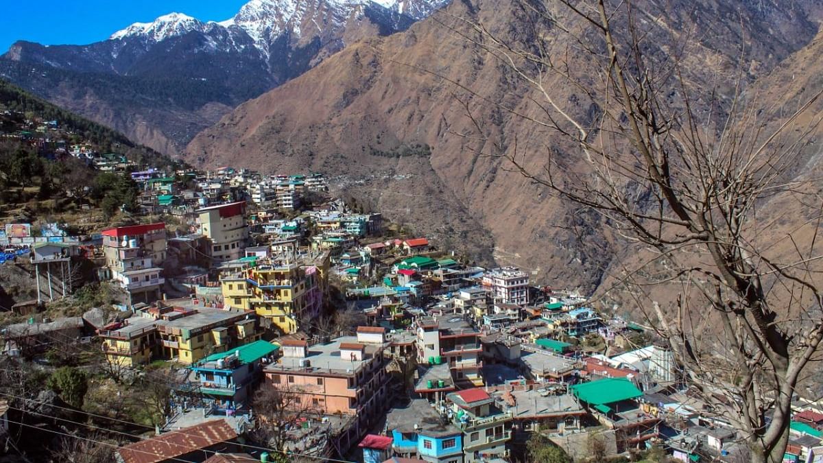 Conduct 'holistic' study on Mussoorie, says NGT in view of Joshimath disaster