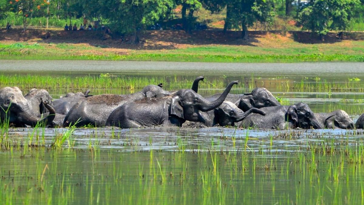 World Wetlands Day | Hope Budget delivers on promise to protect India’s Ramsar sites