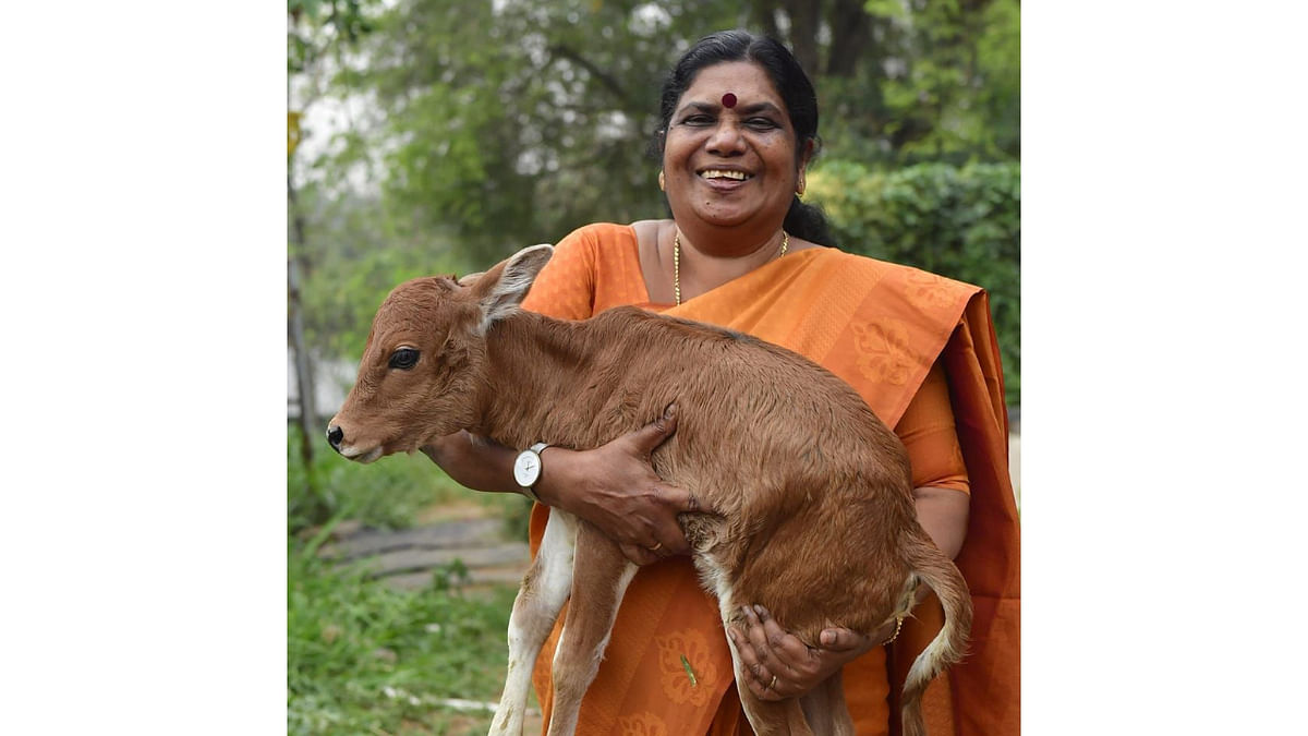 Kerala minister's picture with cow triggers much curiosity