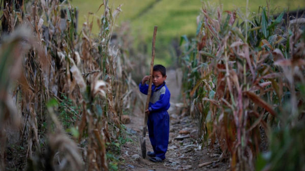 North Korean food shortage seems to be worsening, South Korea says