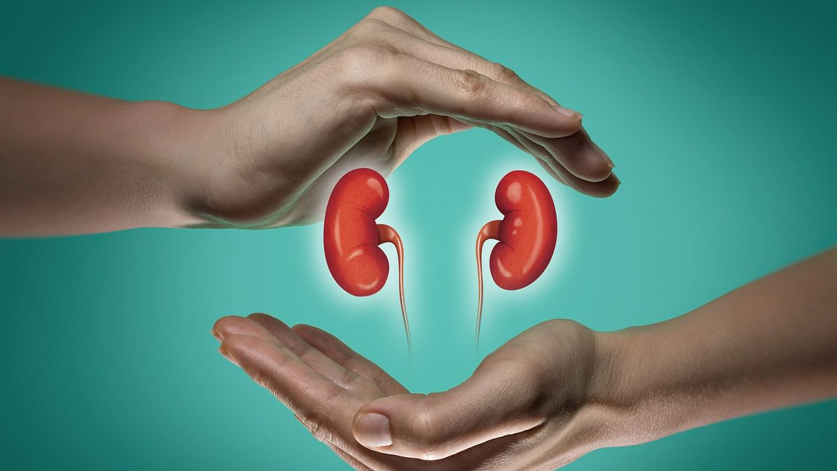 India donates 20 kidney dialysis machines to Nepal