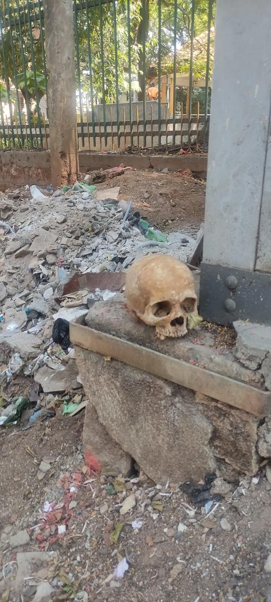 Skull found near Jayanagar Park