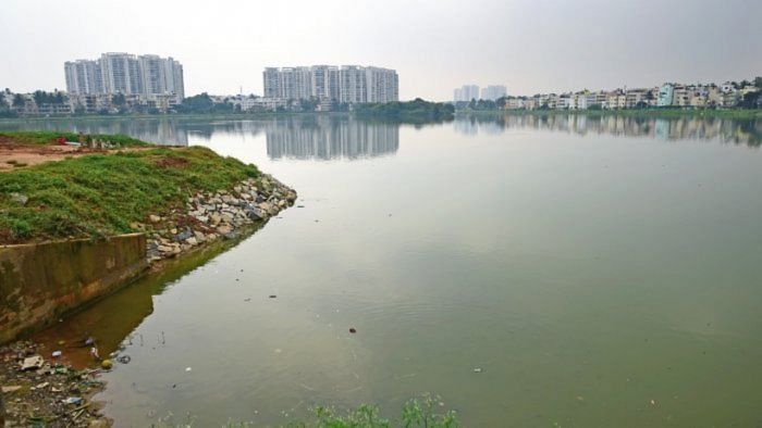 NGT pulls up Karnataka government on delay in implementing its order on Agara, Bellanduru lakes