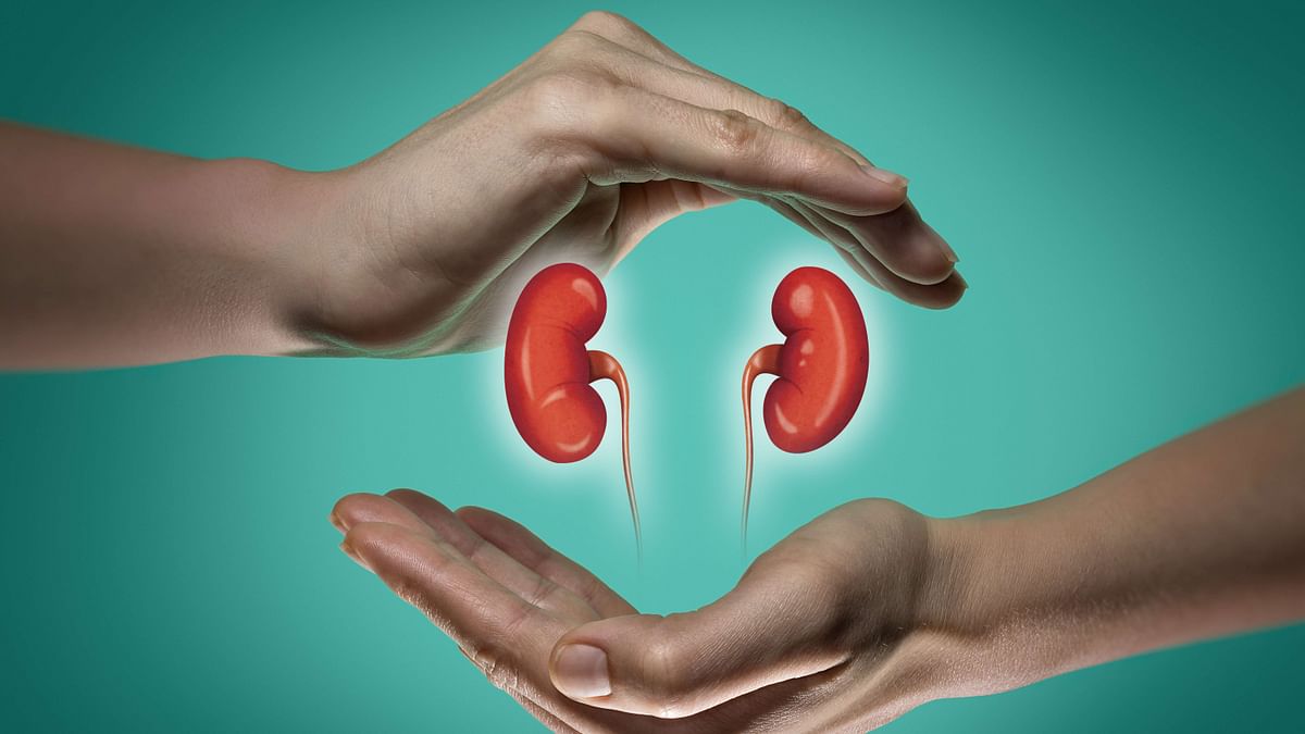 Healthy lifestyle key to preventing kidney degeneration, say health experts