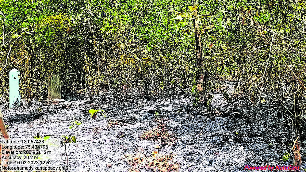 Officials continue to douse forest fires in Dakshina Kannada