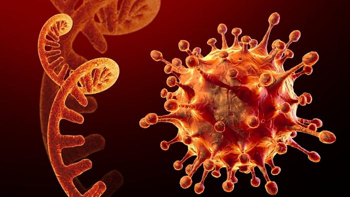 Woman in Patna tests H3N2 positive, Bihar health department sounds alert