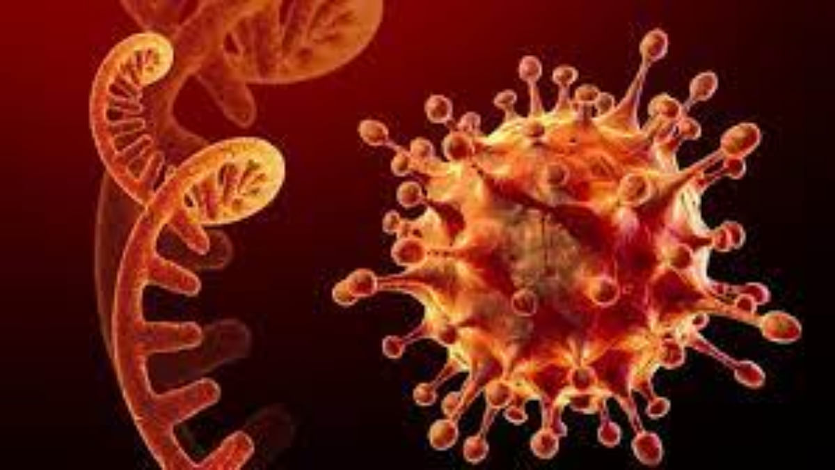 Maharashtra records 352 cases of H3N2 virus
