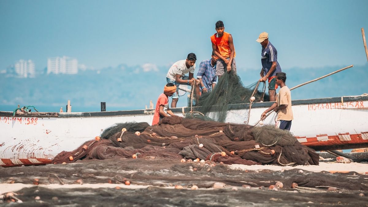 10 arrested with 22 dead dolphins off Porbandar coast in Gujarat