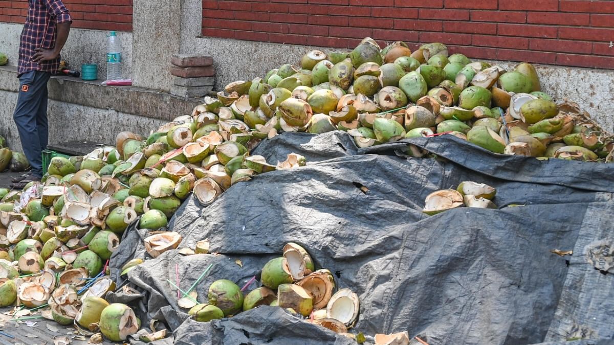 Season’s woes: Coconut shells trigger waste crises in the summer