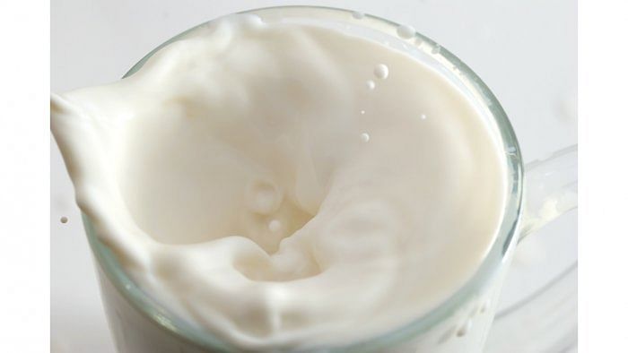 Nearly 35% of milk samples found to be non-conforming to norms