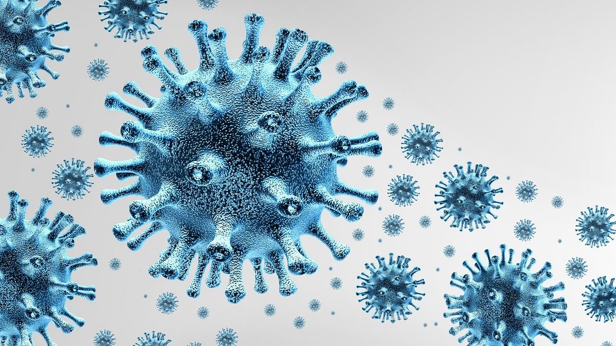 IIT-M researchers develop database on coronavirus antibodies