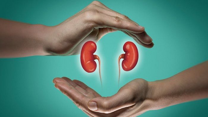 Silent killer: 10% of Indian population affected by chronic kidney disease