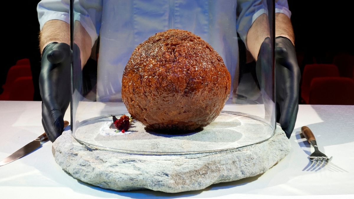 Elephant in the dining room: Startup makes extinct mammoth meatball