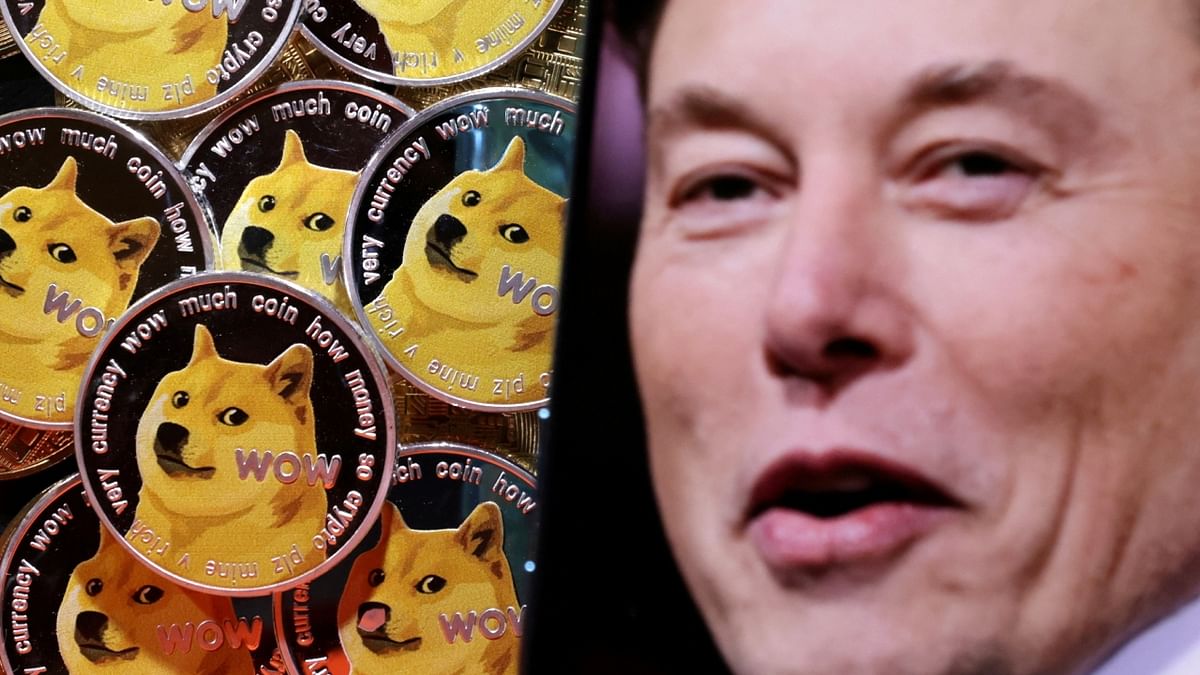 Cryptocurrency surges as Musk changes Twitter logo to 'meme dog'