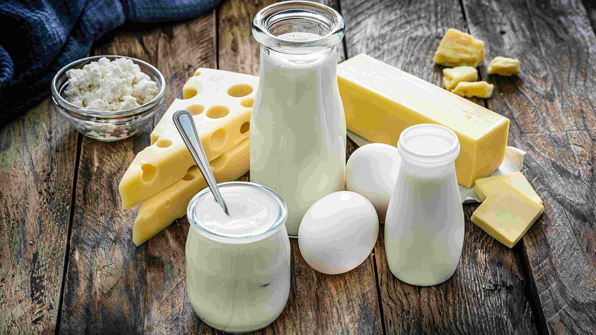 India may consider dairy products' import on tight supply amid stagnant milk output: Govt