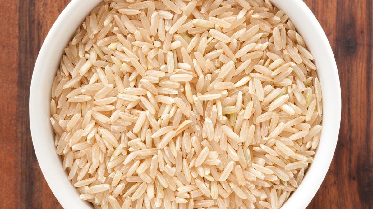 Bihar’s aromatic ‘Marcha Rice’ gets GI tag