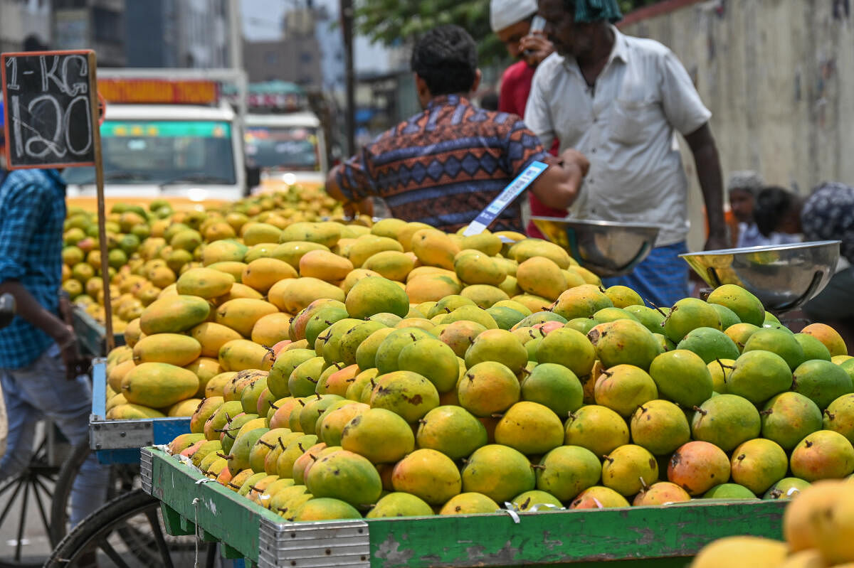 Mangoes arrive early, see brisk sales