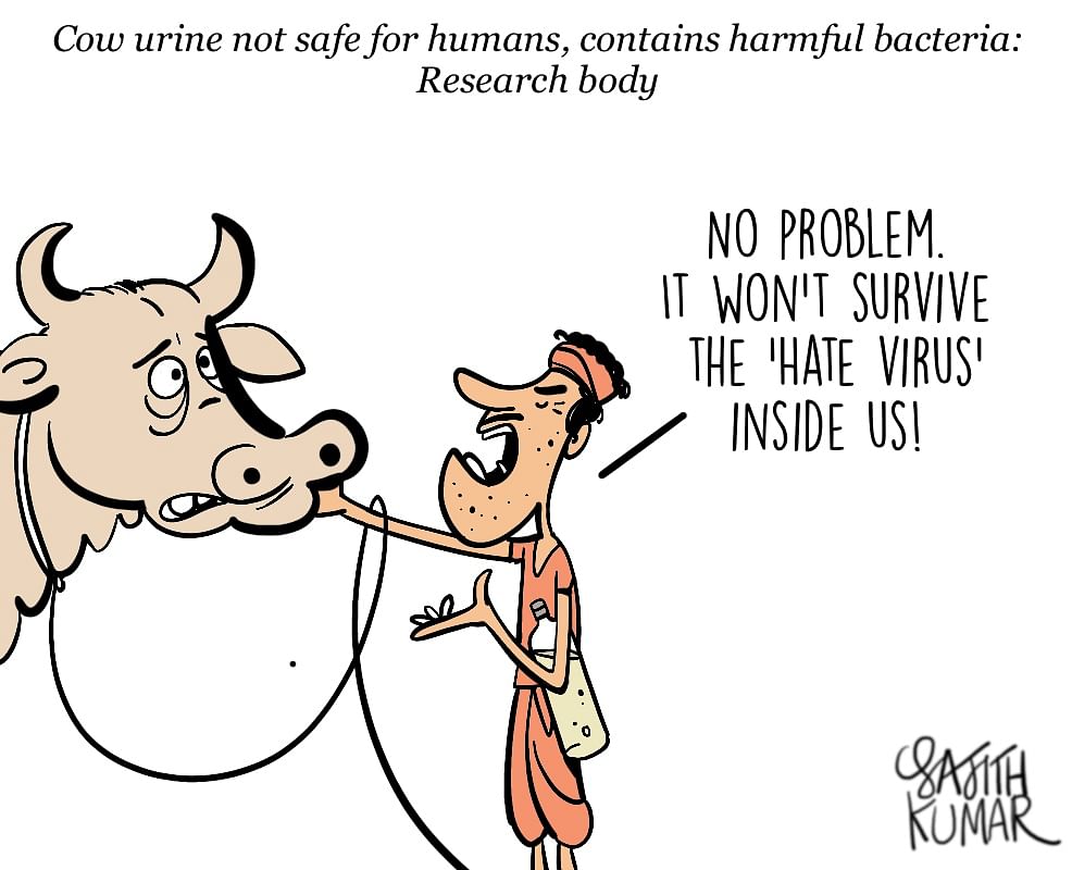 DH Toon | 'Gaumutra' unfit for humans, says new research