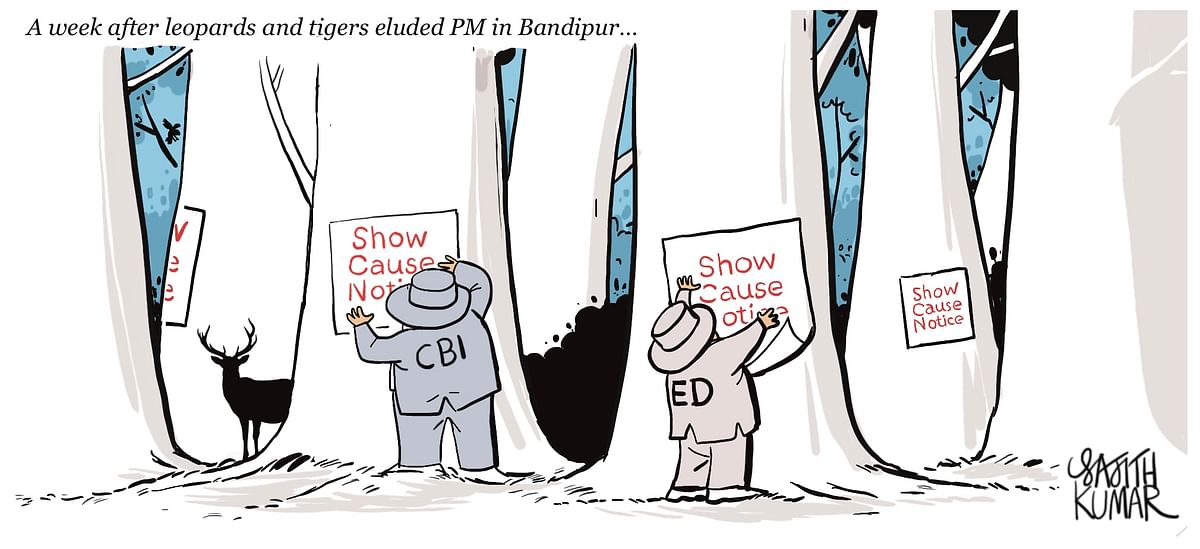 DH Toon: Now, leopards, tigers on ED's radar?