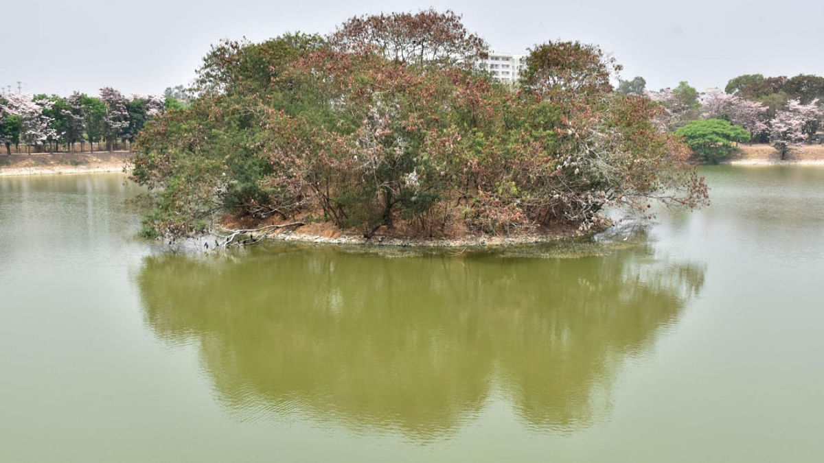 Over 24 lakh water bodies across India, 26,994 in Karnataka