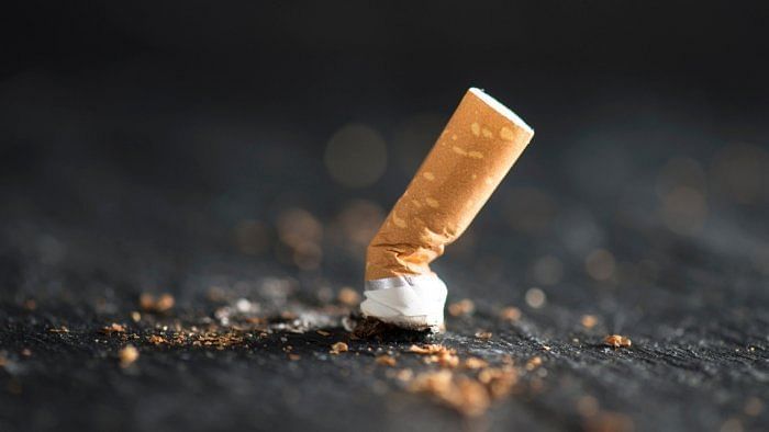 Cigarette butts leak deadly toxins into environment: Study