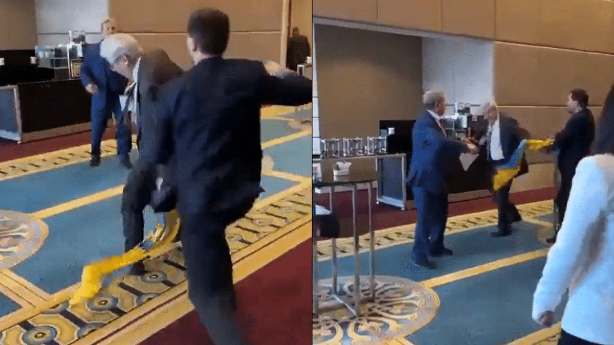 Ukrainian MP punches Russian delegate for snatching his nation's flag at Black Sea nations assembly in Ankara