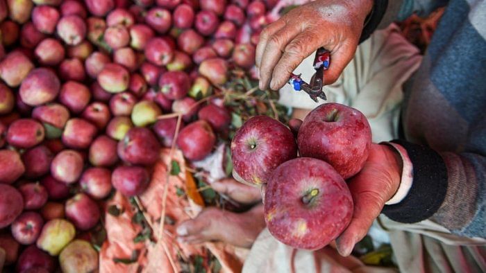 Govt bans apple imports if its price is less than Rs 50 per Kg