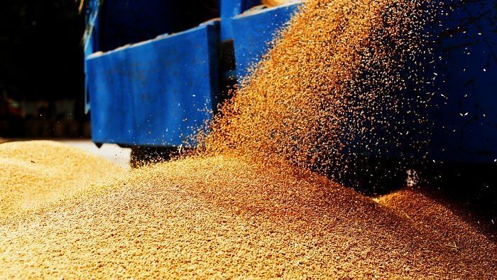 Wheat output expected to surpass estimate of 112.18 million tonne this year: Govt