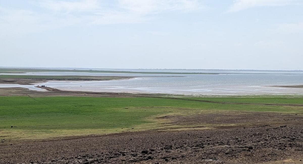 K'taka reservoir levels plummet; drinking water shortage follows