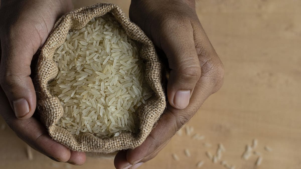 Broken rice exports to be allowed only for meeting food security needs of other countries
