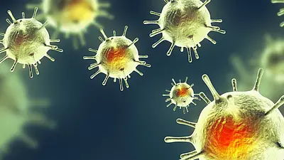 Explained | What is HMPV? Causes & symptoms of the respiratory virus