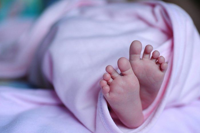 59 MPs write to German ambassador for return of baby girl to India