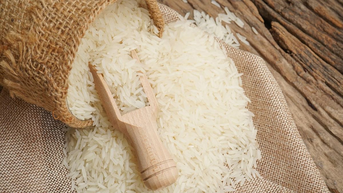 Grain of contention: Experts flag risks as govt expands supply of fortified rice
