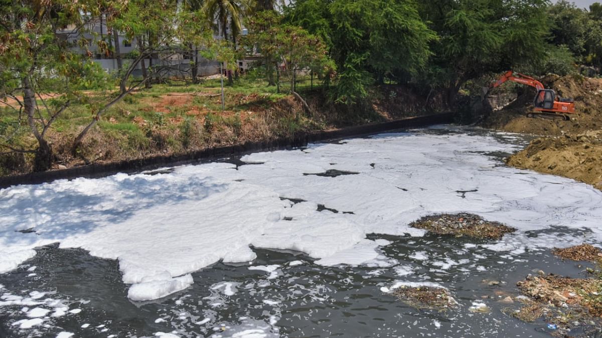 Surfactants in sewage main cause of Bellandur lake foam: Study