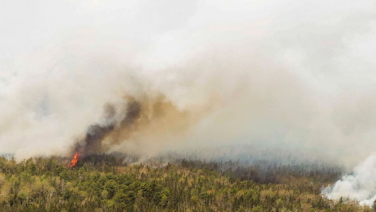 The ‘good fire’: Prescribed burning can prevent catastrophic wildfires in the future