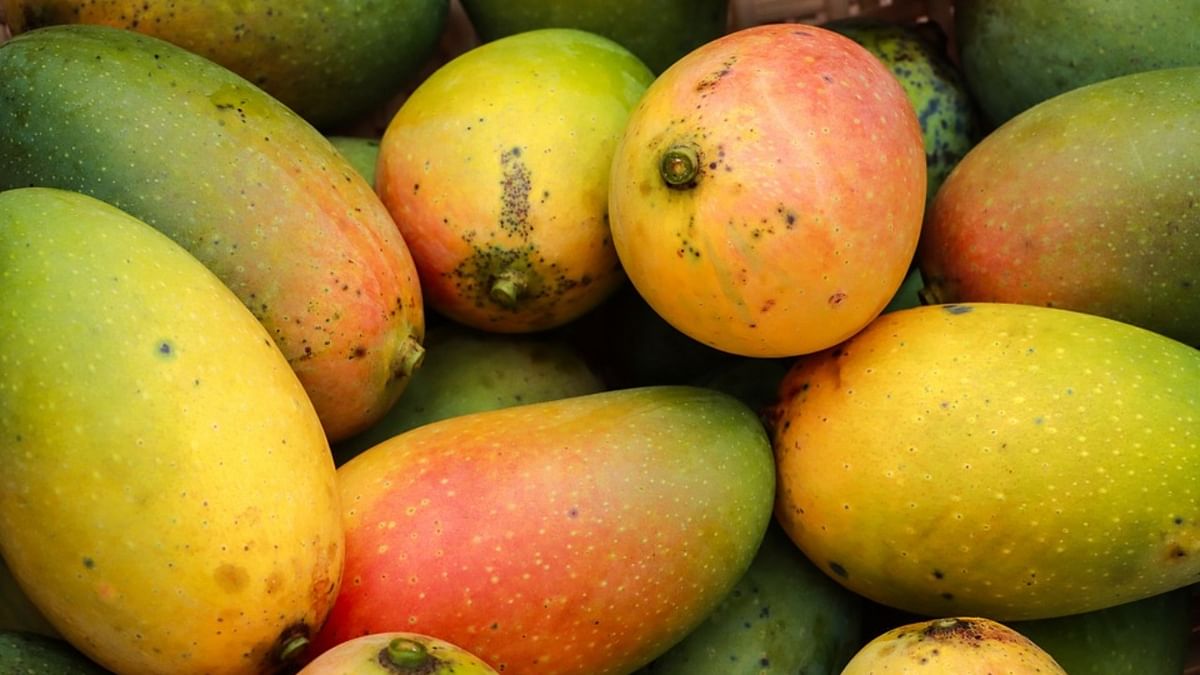 Four-day mango fair kicks off in Jayanagar