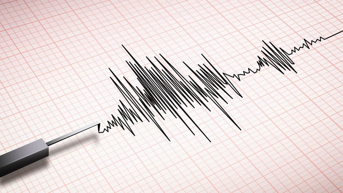 4.1 magnitude earthquake rocks Ladakh