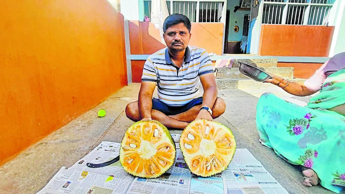 'Siddu' jackfruit farmer gets exclusive rights