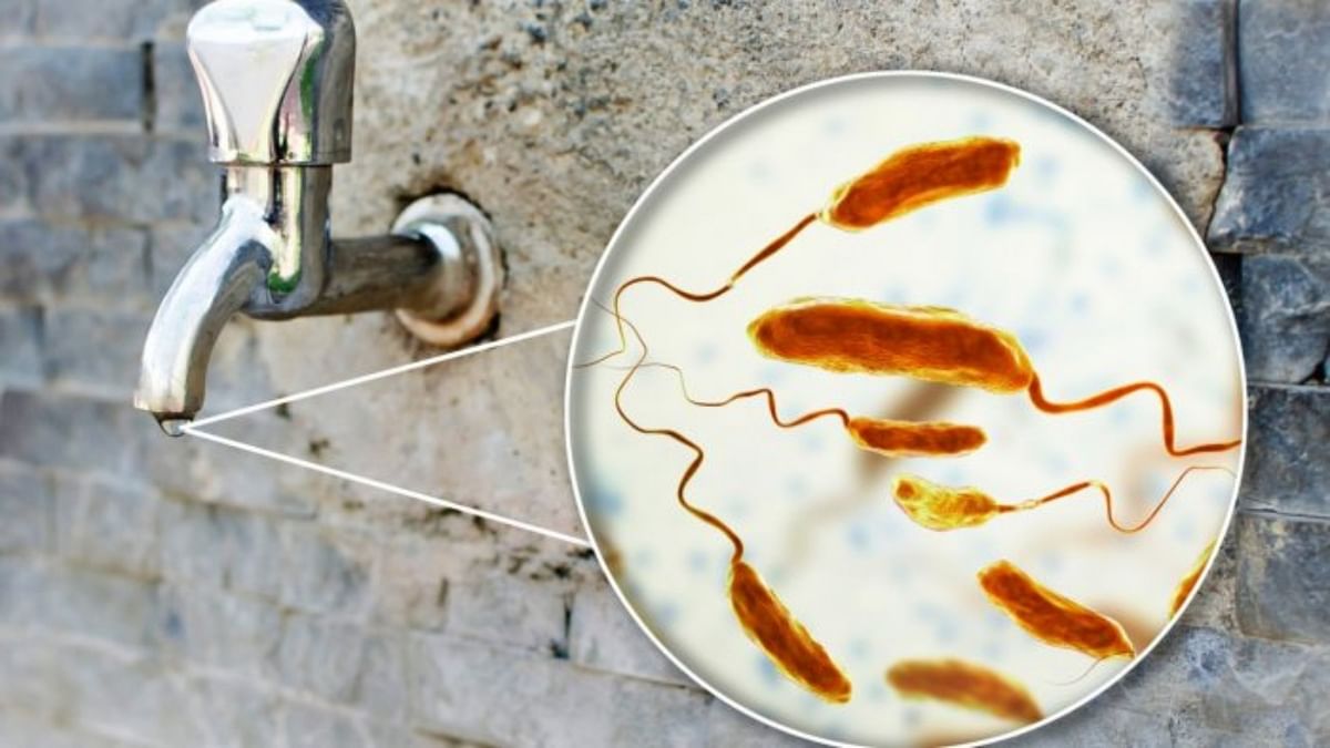 Parts of Gujarat's Kalol town declared cholera affected after 4 cases reported