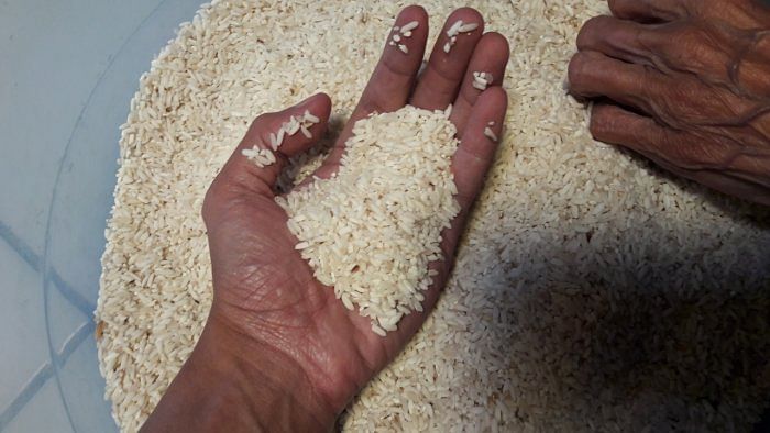 Quality rice at Karnataka's SC/ST hostels: Minister