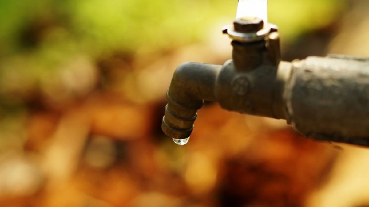 Water crisis hits more than half of Karnataka; govt readies contingency plan
