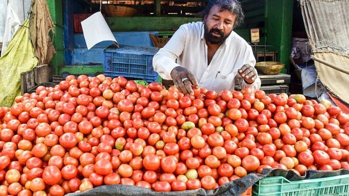 Tomato prices fall to Rs 20 per kg in Karnataka as supply improves substantially