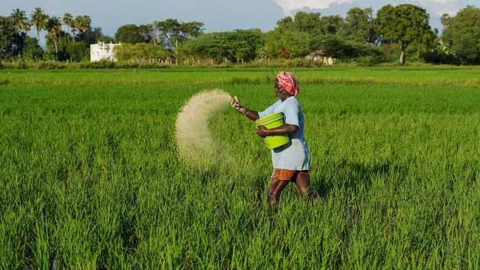 Cabinet approves PM-PRANAM to incentivise states to promote alternative fertilisers