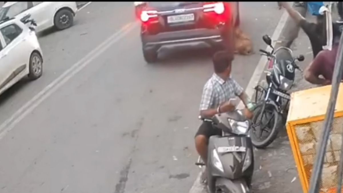 Delhi Police registers case after video shows man running over dog with SUV